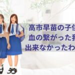 高市早苗の子供いる？血の繋がった我が子が出来なかったわけとは？