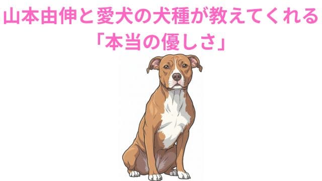 山本由伸と愛犬の犬種が教えてくれる「本当の優しさ」